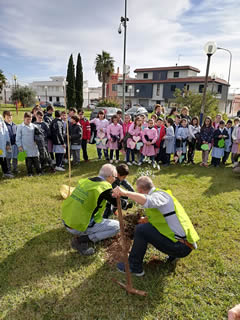 Alberi