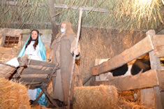 Presepe